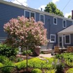 Executive Painting & Pressure Washing Professional Pressure Washing & Home Painting Service Minneapolis, MN